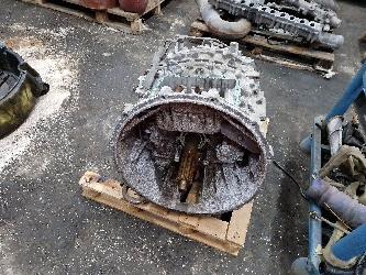 ZF -