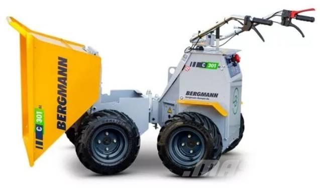 Bergmann C 301 M サイト　ダンプ