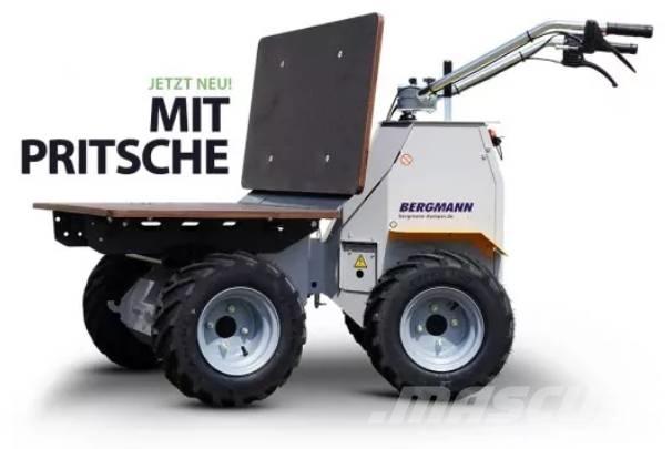 Bergmann C 301 M サイト　ダンプ