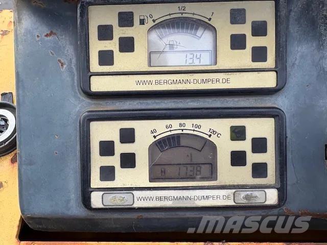 Bergmann 2050 サイト　ダンプ