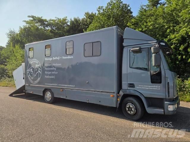 Iveco E 75 家畜輸送用トラック