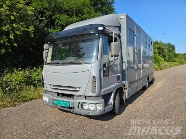 Iveco E 75 家畜輸送用トラック