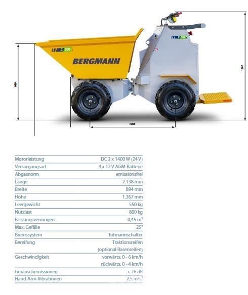 Bergmann C 301L サイト　ダンプ