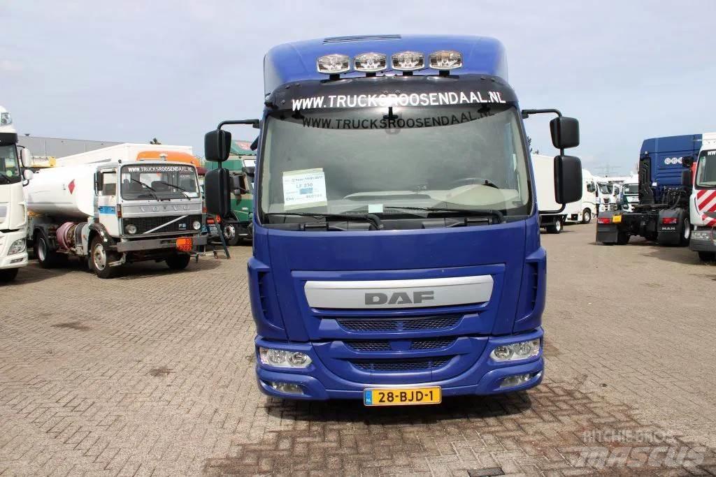 DAF LF 230 + EURO 6 ボックスボディー、ウイング、箱車