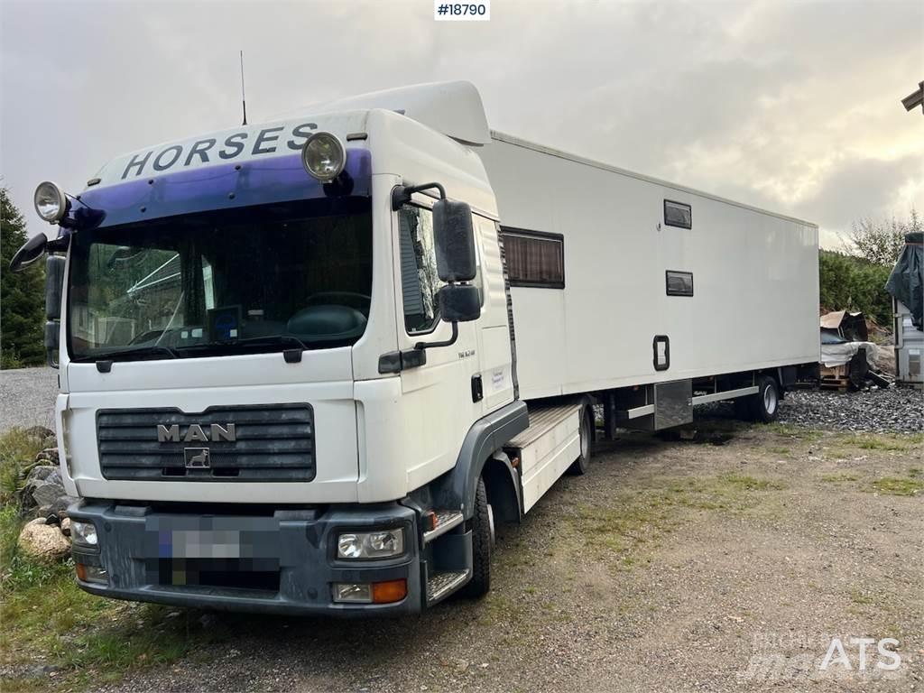 MAN TGL 8.240 中古トラクターヘッド | トレーラーヘッド