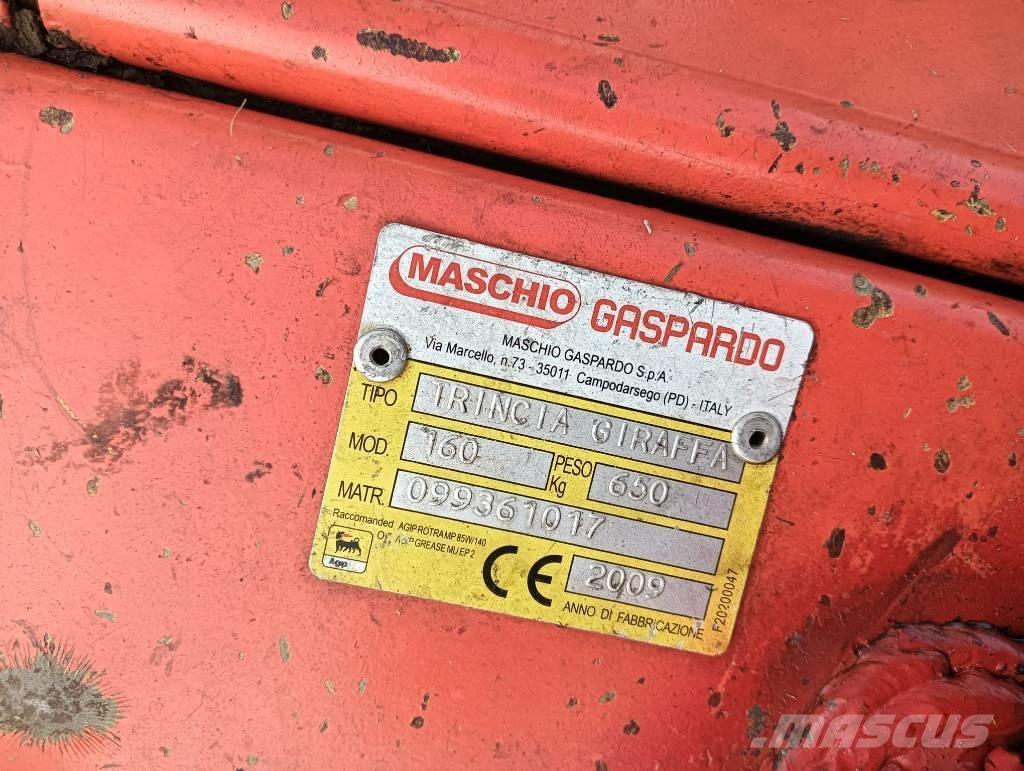 Maschio Giraffa 160 モアー