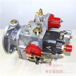 Cummins 4951451-20 エンジン