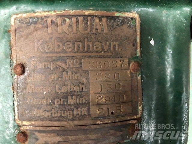  TRIUM QZKS Vandpumpe ウォーターポンプ
