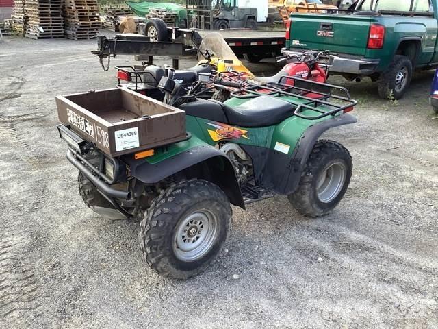 Arctic Cat 454 バギー
