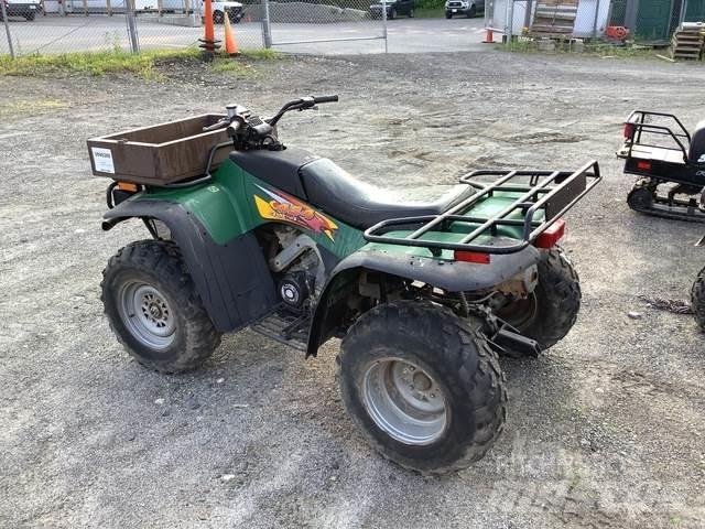 Arctic Cat 454 バギー