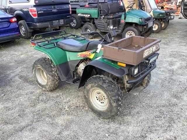 Arctic Cat 454 バギー