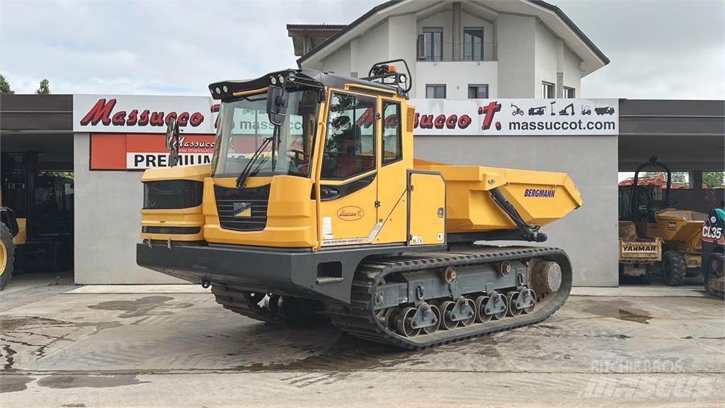 Bergmann 4010R サイト　ダンプ