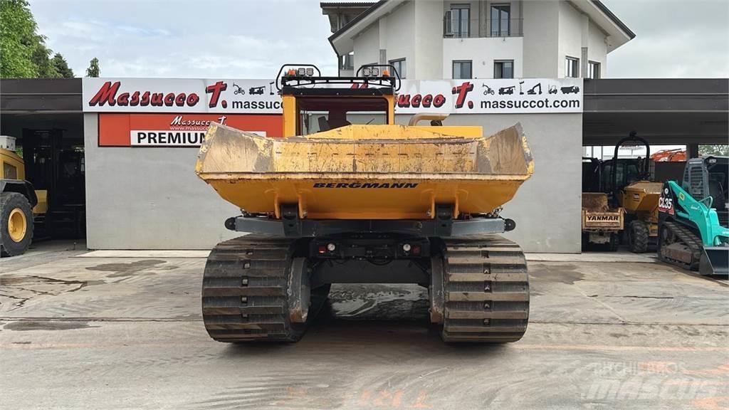 Bergmann 4010R サイト　ダンプ