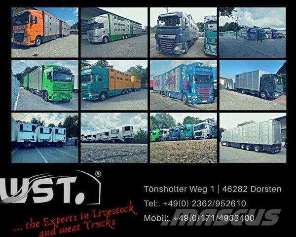 Eggers HTP Plane カーテンサイダートレーラー