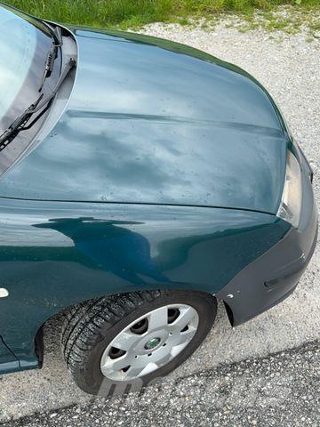 Skoda Fabia パネルバン