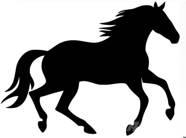  Bay Filly 建設機械 -　その他