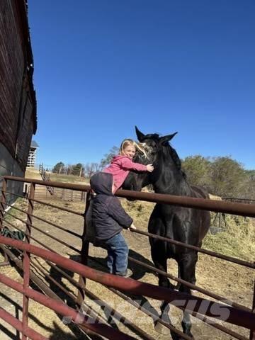  Percheron Team 建設機械 -　その他