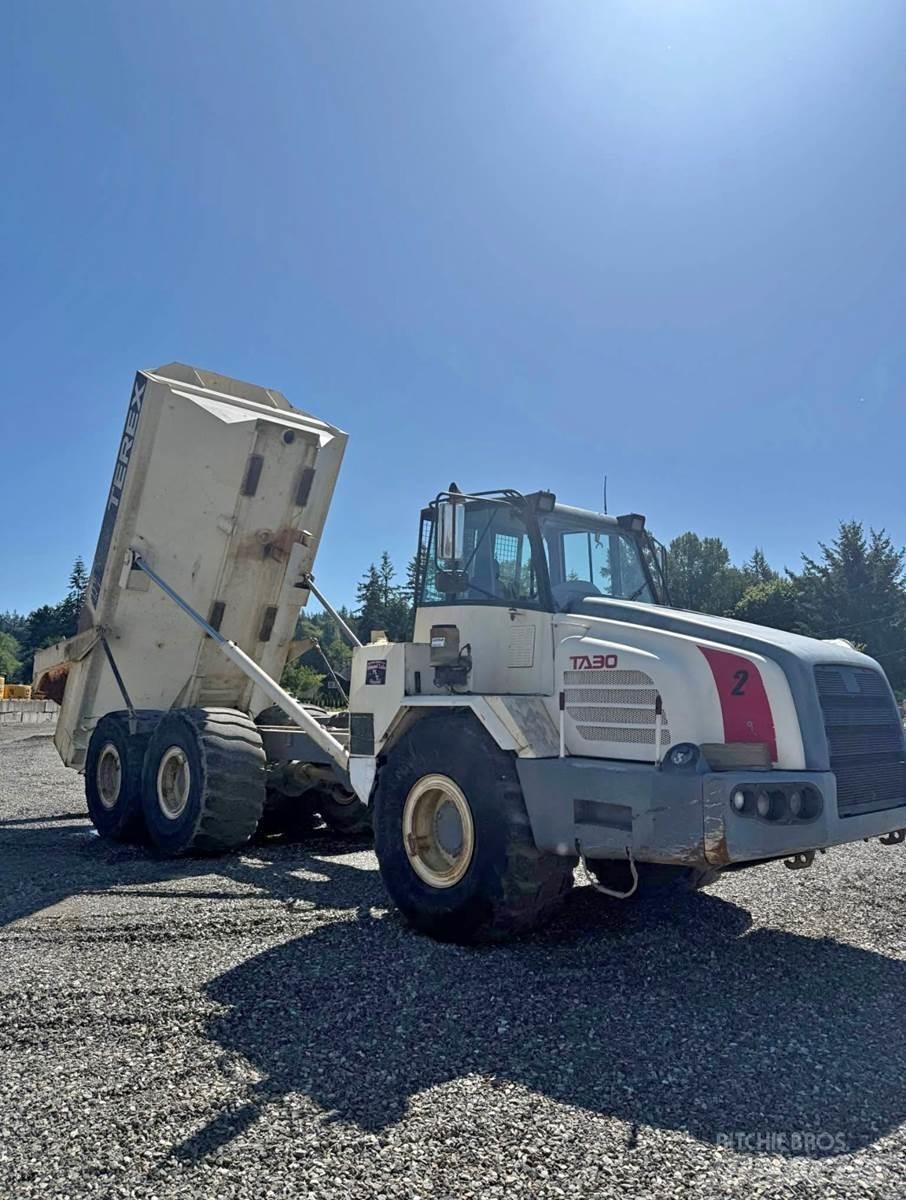 Terex TA30 パネルバン