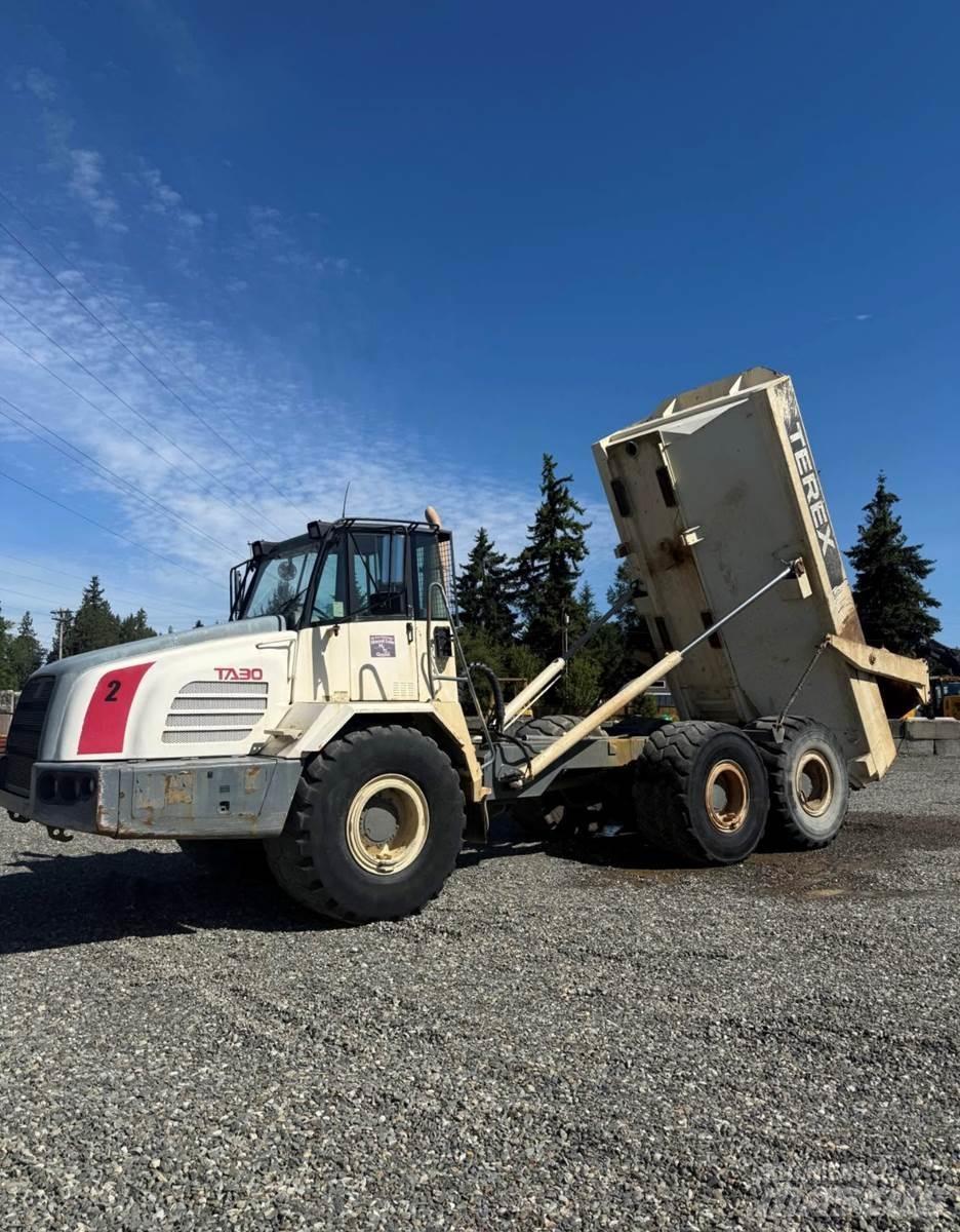 Terex TA30 パネルバン