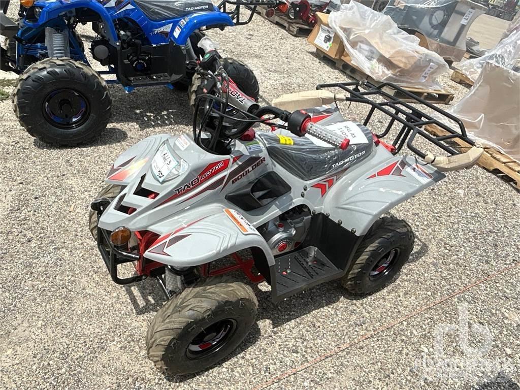  TAO B110 バギー