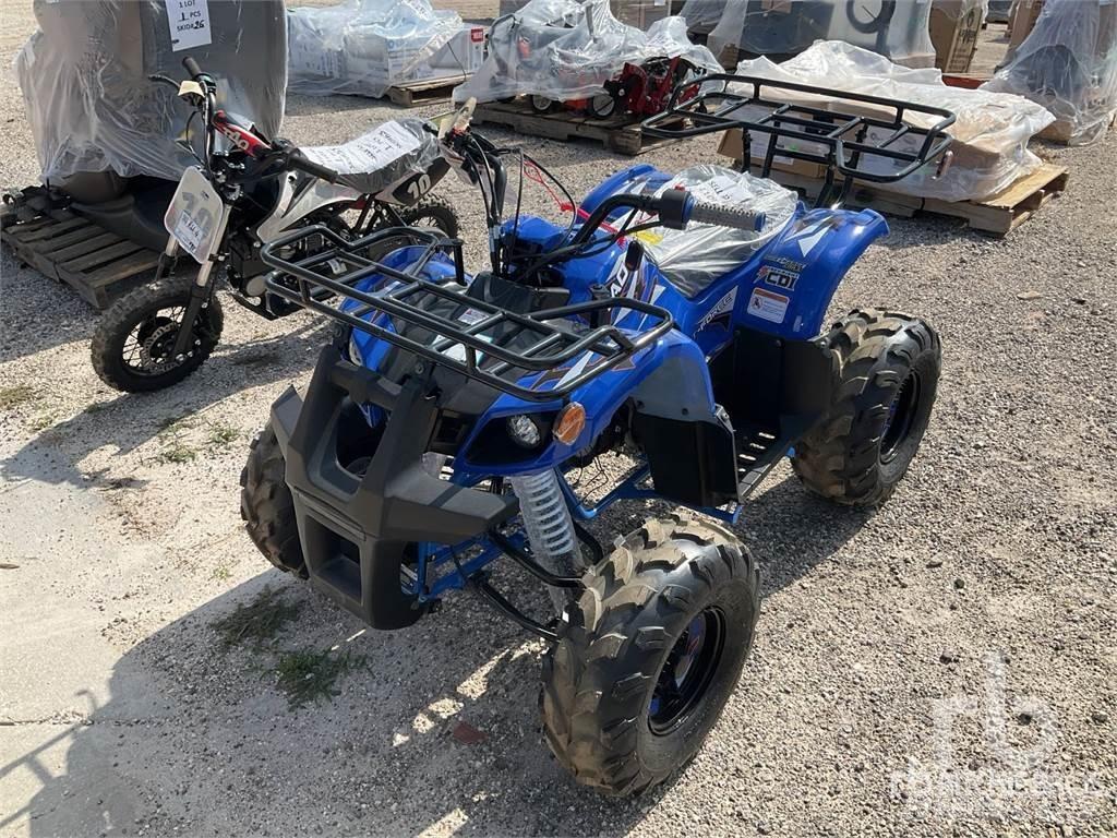  TAO T125 バギー