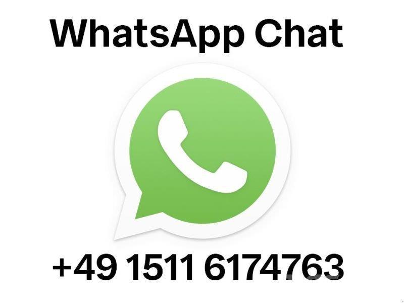 Köppl GEKKO 二輪トラクター/耕運機